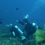 Similan15Feb 27.jpg