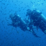 Similan15Feb 33.jpg