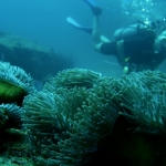 Similan15Feb 40.jpg