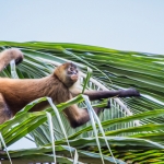 costarica15aug12_resize.jpg