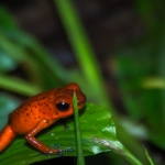 costarica15aug18_resize.jpg