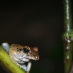 costarica15aug19_resize.jpg