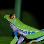 costarica15aug21_resize.jpg