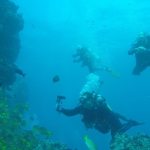 Cocos15aug15.jpg