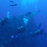 Cocos15aug29.jpg