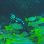 Cocos15aug33.jpg