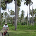 cyclegallery34.jpg