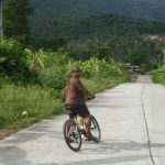 cyclegallery02.jpg