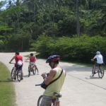 cyclegallery13.jpg