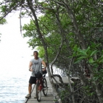 cyclegallery23.jpg