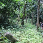 naturetrekgallery26.jpg