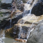 naturetrekgallery04.jpg