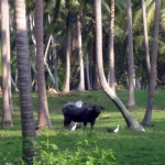 naturetrekgallery22.jpg
