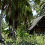 naturetrekgallery17.jpg
