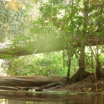 naturetrekgallery18.jpg