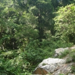 naturetrekgallery05.jpg