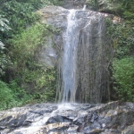 naturetrekgallery03.jpg