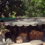 naturetrekgallery24.jpg