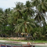 landtoursamui35.jpg