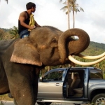 landtoursamui20.jpg