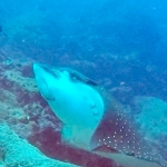 Galapagos2019-7.jpg