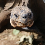 Galapagos2019-58.jpg