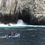 Galapagos2019-8.jpg
