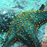 Galapagos2019-22.JPG