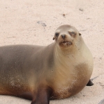 Galapagos2019-48.jpg