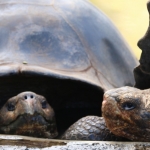 Galapagos2019-57.jpg