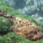 Galapagos2019-25.JPG