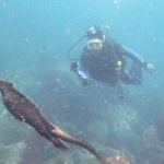 Galapagos2019-24.JPG
