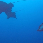 Galapagos2019-6.jpg
