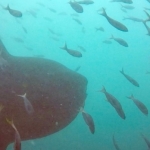 Galapagos2019-4.jpg