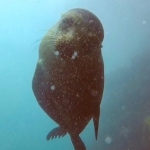 Galapagos2019-3.jpg
