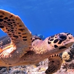 From Soe at Maldives -42.jpg