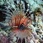 From Soe at Maldives -20.jpg