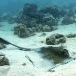 From Soe at Maldives -38.jpg