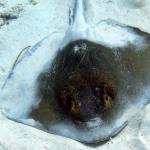 From Soe at Maldives -04.jpg