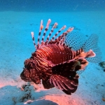From Soe at Maldives -39.jpg