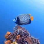 From Soe at Maldives -28.jpg