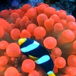 From Soe at Maldives -45.jpg