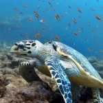 From Soe at Maldives -34.jpg