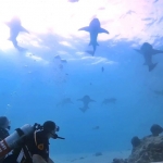 From Soe at Maldives -03.jpg