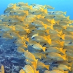 From Soe at Maldives -32.jpg