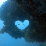 From Soe at Maldives -14.jpg