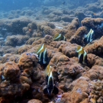 From Soe at Maldives -33.jpg