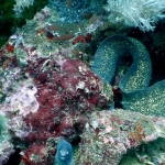 puertogalera20Feb-Brians4.JPG