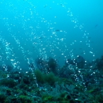 puertogalera20Feb-Brians14.JPG