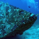 puertogalera20Feb-Brians1.JPG